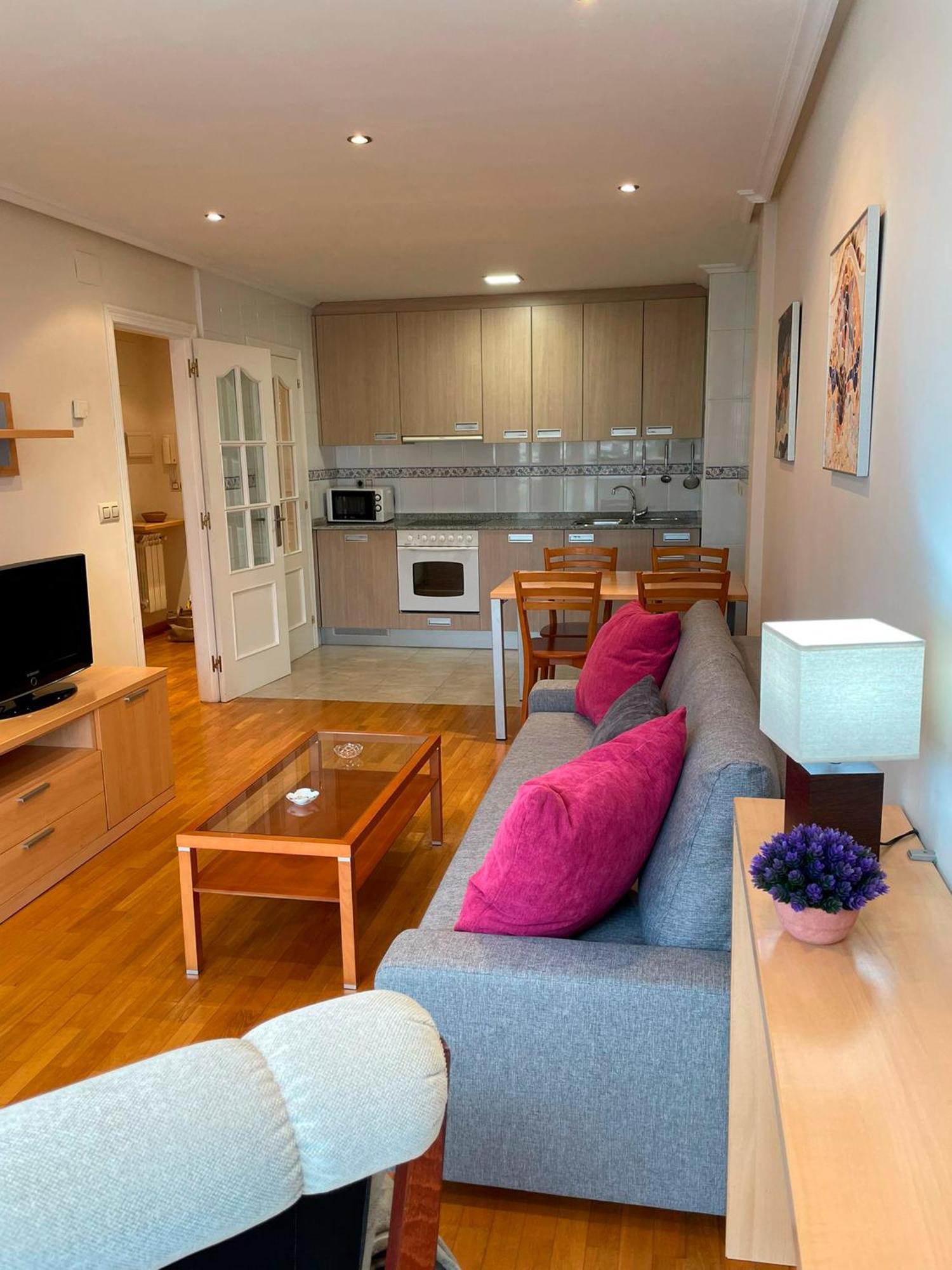 Vistas Mino Appartement Ourense